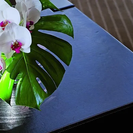 Hotell Excelsior Saint-Raphaël